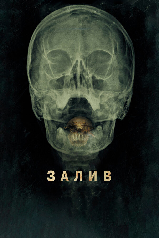 Залив (2012)